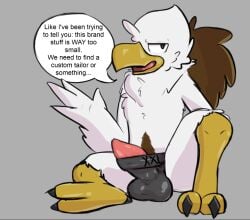 accipitrid accipitriform avian bird brown_body brown_feathers clothing dialogue eagle erection feathers ferrissimulator haywood looking_at_viewer male male_only sitting solo tagme talons text_box underwear white_body white_feathers