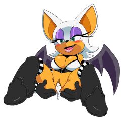 mobian (species) from sega by leatherruffian