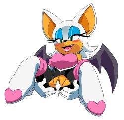 mobian (species) from sega by leatherruffian