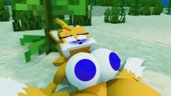 miles tails prower from minecraft by idiottheartist