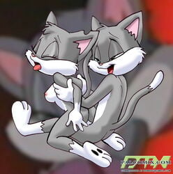 animaniacs anthro bbmbbf cat feline female fur furry insertion male mammal rita_(animaniacs) sex straight tagme tongue