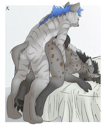 anal bed gay hindpaw hyena male nude straydog