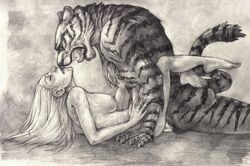 anthro anthro_on_female anthro_on_human anthro_penetrating anthro_penetrating_female anthro_penetrating_human feline female female_penetrated harag human human_female interspecies male nonhuman_male_on_human_female passionate sex size_difference snarl tiger white_tiger