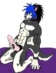 1boy anthro balls canine collar ddw fur furry hi_res male male_only masturbation ms muscles paint piercing punk solo wolf