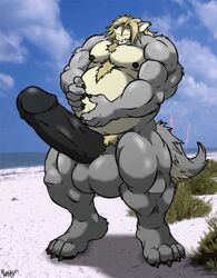 1boy anthro beach canine fat fur furry hyper male male_only musclegut muscles penis rackun seaside solo tachi wolf