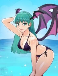 morrigan aensland from capcom by watcher hollow
