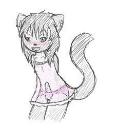 1boy anthro blue_eyes blush crossdressing cute erection feline femboy furry looking_at_viewer male male_only negligee nipples panties penis piercing sasha short_hair sketch skimpy solo solo_male standing tail thighs trix_the_cat underwear wide_hips