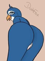 animal_humanoid anthro ass avian avian_humanoid big_butt bird bird_humanoid blue_body curvy_anthro curvy_figure dush-fox female female/female female_focus genitals hi_res humanoid penguin penguin_humanoid pussy solo solo_focus thick_thighs wide_hips