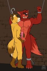 abs absurd_res anthro balls bondage bound canid canine canis chains cock_and_ball_torture cuff_(restraint) dungeon duo erection five_nights_at_freddy's forced forced_orgasm fox foxy_(fnaf) genital_torture genitals hi_res humanoid_genitalia humanoid_penis hybrid kidnapping licking male male/male mammal masturbation muscular muscular_anthro muscular_male nipples orgasm patched_clothing pecs penis restraints richart_(richartwf) scottgames shackles teeth_showing teeth_visible tongue tongue_out unknown_artist video_games wolf