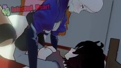 2girls 3d animated ass blue_eyes blush breasts credits earrings female handholding infected_heart lesbian missionary_tribadism moaning partially_clothed ponytail ruby_rose rwby scar scissoring silver_eyes sound sound_effects thick_thighs tribadism tribbing video weiss_schnee white_hair yuri