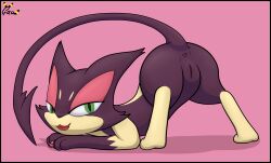 anus ass ass_up female feral gau_(artist) generation_5_pokemon genitals hi_res looking_at_viewer nintendo pokemon pokemon_(species) presenting presenting_pussy purple_body purrloin pussy raised_tail solo video_games yoru_(purrloin)