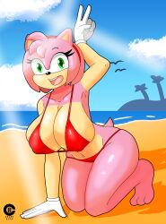 1girls absurd_res amy_rose anthro armpits beach big_breasts bikini breasts clothing cranebear eulipotyphlan female female_only hedgehog hi_res mammal red_bikini seaside sega solo sonic_(series) sonic_the_hedgehog_(series) swimwear