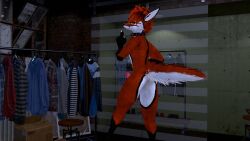 animal_genitalia animal_genitals animal_penis anthro anthro_only ass balls canid canine canine_genitalia canine_genitals canine_penis fox fur furry furry_only male male_only motofox_(big_red_folf) orange_fur penis pink_penis red_penis vr_media white_belly