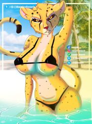 anthro beach big_breasts bikini black_body black_fur breasts cheetah clothed clothing detailed_background fangs felid feline female fluffy fluffy_tail fur hi_res looking_at_viewer mammal mauricebeverle2 multicolored_body multicolored_fur partially_clothed seaside solo swimwear thick_thighs water white_body white_fur yellow_body yellow_eyes yellow_fur