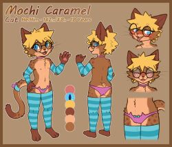 accessory andromorph armwear blush clothing collar cuntboy domestic_cat eyewear felid feline felis furgonomics glasses hi_res intersex legwear lingerie mammal mochi_caramel_(mr.albafox) model_sheet mr.albafox panties pawpads solo tail tail_accessory teenager underwear whiskers young