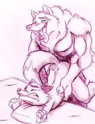 anal anal_sex anthro ass_up bed canine claws closed_eyes doggy_style dragondrawer eyes from_behind fur furry furry_only gay male no_humans nude open_mouth pain penetration pillow raised_tail rape sex size_difference tail tongue wolf