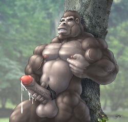 1boy 2008 ape balls big big_balls big_penis braford cum gorilla male male_only masturbation muscles nipples nude penis pose solo uncut