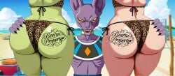 beerus from dragon ball