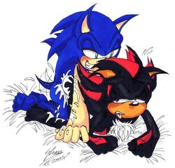 2005 anal anal_sex cum fur hedgehog male male_only multiple_males penetration shade_(artist) shadow_the_hedgehog soina sonic_(series) sonic_the_hedgehog yaoi