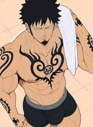 trafalgar law from one piece