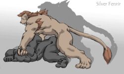 2005 anal anal_sex animated anthro canine feline fur furry furry_only gay lion male muscles penetration penis sex silver_fenrir tyrdassi_narasimha