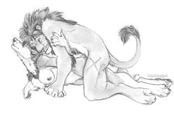 anthro blackteagan breasts canine doggy_style feline female from_behind fur furry lion male nude on_front scar sex straight wolf