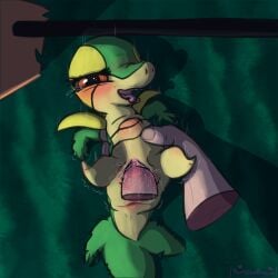generation 5 pokemon from nintendo by poofythedragon
