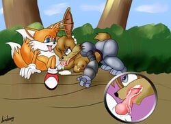 2009 anthro breasts bunnie_rabbot canine cum fellatio female forest fox fur furry jardenon knot male oral oral_sex penis sega sex sonic_(series) straight tails tree unknown_artist watermark