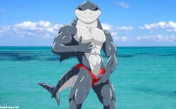 1boy 2009 abs anthro beach black_eyes cetacean dorsal_fin erection fabfelipe fin gills humanoid humanoid_penis looking_at_viewer male male_only marine muscles ocean penis pose seaside shark smile solo speedo tail underwear water wet