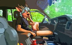 anthro antlers balls bedroom_eyes big_penis bite biting_lip canid canine car cervid clothed clothing deer erection exhibitionism furry genitals horn humanoid humanoid_genitalia imminent_masturbation inner_ear_fluff looking_at_viewer male male_only mammal narrowed_eyes outside partially_clothed penis poking_out presenting presenting_penis seductive sfinx sitting solo sphingy tuft underwear underwear_down undressing vehicle waiting