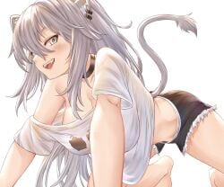 cat_ears collar fan_mascot_(vtuber) grey_eyes grey_hair hololive hololive_gen_5 hololive_japan honkivampy loose_shirt oerba_yun_fang pierced_ears shishiro_botan shorts smile ssrb tail virtual_youtuber