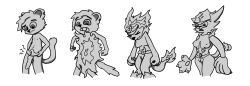 anthro breaths felid female fire fur generation_7_pokemon genitals grey_body hi_res incineroar lion male mammal nintendo nootherway nude pantherine paws penis pokemon pokemon_(species) pussy shaded simple_shading solo transformation video_games