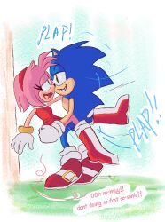 amy rose from sega