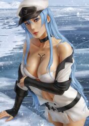 1girls akame_ga_kill! big_breasts breasts esdeath_(akame_ga_kill!) female solo yupachu