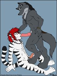 acey_winters anthro canine cum feline footjob fur furry furry_only gay male no_humans oral paws precum schizowolf thundergrey tiger wolf