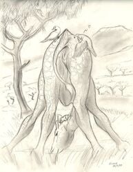 2009 alessio_scalerandi anus avian bird female feral from_behind giraffe grazing heart outside pussy sketch solo tree â™¥