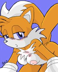 2005 all_fours anthro blue_eyes blush breasts canine chest_tuft female fox fur furry gloves kitsune looking_at_viewer multiple_tails orange peterson rule_63 solo sonic_(series) tail tails tailsko