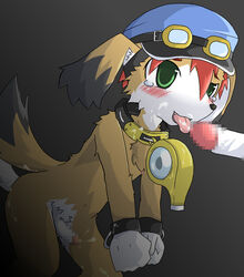 blush brown brown_fur canine censored cum cute_fang fellatio gay goggles green_eyes hat male mamoru-kun oral oral_sex penis sex tail tear tongue unknown_artist