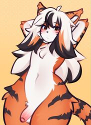 anthro black_stripes blush felid femboy fiamourr fluffy foreskin fur genitals hair hands_behind_head hi_res humanoid_genitalia humanoid_penis long_hair male mammal multicolored_body multicolored_fur multicolored_hair orange_body orange_eyes orange_fur pantherine penis simple_background small_penis solo standing stripes tail tiger white_body white_fur