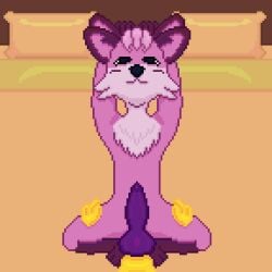 ambiguous_gender animated big_belly bodily_fluids canid canine cum cum_inside dialogue dialogue_box fennec_fox fox genital_fluids gif inflation knot knotting low_res lowres male male/male mammal stomach_bulge tagme true_fox