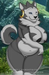 anthro big_breasts black_nipples blue_eyes breast_squish breasts canid canine canis canyne capcom chubby chubby_female cleft_of_venus curled_tail domestic_dog ear_piercing ear_ring female fur gold_(metal) gold_earring gold_jewelry grey_body grey_fur hi_res hoop_ear_ring huge_breasts husky jewelry legs_together looking_at_viewer mammal mature_female monster_hunter multicolored_body multicolored_fur navel neck_tuft nipples nordic_sled_dog palamute phrostbite piercing ring_piercing rule_63 sitting slightly_chubby slightly_chubby_anthro slightly_chubby_female solo spitz squish thick_thighs tuft two_tone_body two_tone_fur video_games white_body white_fur zesh