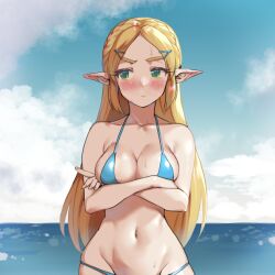 1girls angry arms_folded belly_button bikini blonde_hair blush breasts breath_of_the_wild cleavage cloud crossed_arms embarrassed green_eyes long_hair looking_away monbetsu_kuniharu nintendo ocean pointy_ears princess_zelda sea solo sweat the_legend_of_zelda zelda_(breath_of_the_wild)