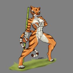 master tigress from dreamworks by psaik4