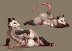 absurd_res alytarch american_opossum anthro anus backsack balls big_balls big_breasts big_butt big_penis blush bodily_fluids breasts butt cum cum_in_ass cum_inside erection fur gaping gaping_anus genital_fluids genitals glistening glistening_genitalia glistening_penis gynomorph hi_res humanoid_genitalia humanoid_penis intersex lucille_(alytarch) mammal marsupial nipples nude penis presenting presenting_anus simple_background slightly_chubby solo spread_anus spread_butt spreading tail thick_thighs virginia_opossum white_body wide_hips