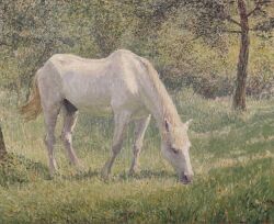 ancient_art balls detailed_background eating equid equine feral forest full-length_portrait fur genitals georges_buysse grass grazing hi_res hooves horse male male_feral mammal mane outside painting_(artwork) plant portrait public_domain quadruped shaded shadow side_view signature snout soft_shading solo standing tail traditional_media_(artwork) traditional_painting_(artwork) tree white_body white_fur