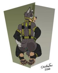 2026 4_toes absurd_res anthro anus armpit_hair balls barefoot bartek22 belt belt_pouch body_hair brazilian_dawg_(ricthecusco) butt buttplug canid canine canis circumcised clothing collar collar_tag countershading domestic_dog ears_up feet foot_fetish foot_focus fur genitals glans gloves grey_body grey_fur handwear hi_res kneeling leash legwear looking_at_viewer looking_back male mammal muscular muscular_anthro muscular_male open_mouth pawpads paws penis plantigrade plug_(sex_toy) sex_toy signature solo stirrup_legwear stirrup_stockings stockings tactical_nudity tail teeth teeth_showing text toes tongue white_body white_fur yellow_body yellow_fur