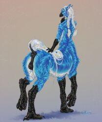 5:6 animal_genitalia animal_vulva anus avian avian_feet beak black_anus black_beak black_vulva blue_body blue_eyes blue_fur braided_hair ears_back equine_anus equine_genitalia equine_vulva feet female female_taur fur genitals hair hi_res long_hair looking_at_viewer mouth_closed pivoted_ears quadruped scarlanya signature simple_background solo tail talons taur toes vulva white_body white_fur white_hair white_tail