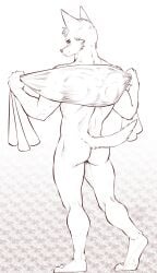 2022 absurd_res anthro ass blush canid canine eldiman fingers full-length_portrait fur fur_tuft hi_res holding_object holding_towel looking_at_viewer looking_back looking_back_at_viewer mammal nude portrait rear_view solo towel tuft