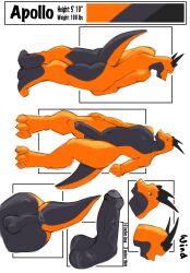 absurd_res anthro apollo ass digitigrade genitals hi_res horn kobold male model_sheet nude penis solo wind