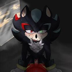 1cuntboy anthro anthro_on_anthro cuntboy echidna eye_contact fangs gloves glowing_eyes hedgehog intersex knuckles_the_echidna looking_at_viewer male_only mephiles_the_dark mobian_(species) pov sega sonic_(series) sonic_the_hedgehog_(series) source_request sweat vaginal_penetration wet_pussy